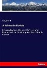 Ledyard Bill - A Winter in Florida