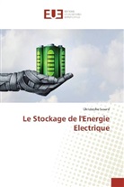 Christophe Savard - Le Stockage de l'Energie Electrique