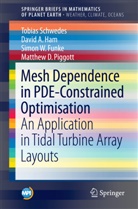 Simon W et al Funke, Simon W. Funke, David Ham, David A Ham, David A. Ham, Matthew D. Piggott... - Mesh Dependence in PDE-Constrained Optimisation