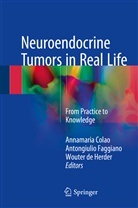 Annamaria Colao, Wouter de Herder, Antongiuli Faggiano, Antongiulio Faggiano, Wouter de Herder - Neuroendocrine Tumors in Real Life