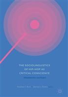 J Rivers, J Rivers, Damian Rivers, Damian J. Rivers, Andrew Ross, Andrew S. Ross... - The Sociolinguistics of Hip-hop as Critical Conscience