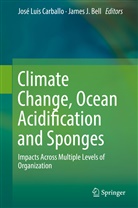 James Bell, James J. Bell, José Luis Carballo, J Bell, J Bell, Jos Luis Carballo... - Climate Change, Ocean Acidification and Sponges