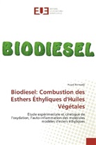 Hayat Bennadji - Biodiesel: Combustion des Esthers Éthyliques d'Huiles Végétales