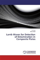 Anna Brook, Gi Gilad, Gil Gilad - Lamb Waves for Detection of Delamination in Composite Plates