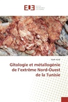 Riadh Abidi - Gîtologie et métallogénie de l'extrême Nord-Ouest de la Tunisie