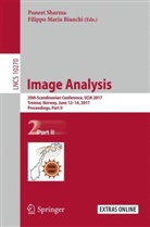 Filippo Maria Bianchi, Maria Bianchi, Maria Bianchi, Punee Sharma, Puneet Sharma - Image Analysis