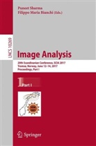 Filippo Maria Bianchi, Maria Bianchi, Maria Bianchi, Punee Sharma, Puneet Sharma - Image Analysis