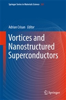 Adria Crisan, Adrian Crisan - Vortices and Nanostructured Superconductors