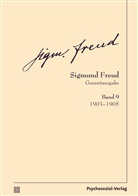 Sigmund Freud, Christfrie Tögel, Christfried Tögel - Gesamtausgabe (SFG) - 9: 1903-1905