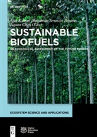 Ajay Kumar Bhardwaj, Jiquan Chen, Terenzi Zenone, Terenzio Zenone - Sustainable Biofuels