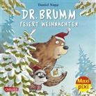 Daniel Napp - Dr. Brumm feiert Weihnachten