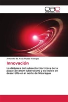 Armando de Jesús Picado Vanegas - Innovación