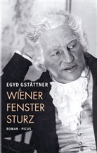 Egyd Gstättner - Wiener Fenstersturz