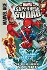Todd Dezago, Leonel Castellani - Marvel Super Hero Squad