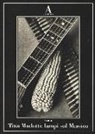 Tina Modotti: lampi sul Messico