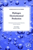Thomas Audichon, Thomas (University of Poitiers Audichon, Steve Baranton, Stève Baranton, Steve (Assistant Professor Baranton, Baranton Steve... - Hydrogen Electrochemical Production