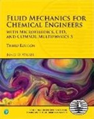 Stacy Birmingham, James Wilkes, James O. Wilkes - Fluid Mechanics for Chemical Engineers