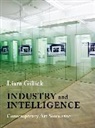 Liam Gillick, Gillick Liam - Industry and Intelligence