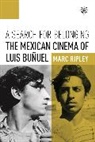Marc Ripley, Mark Ripley - Search for Belonging