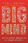 Geoff Mulgan, Mulgan Geoff - Big Mind