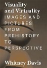 Whitney Davis, Davis Whitney - Visuality and Virtuality