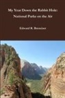 Edward Breneiser - MY YEAR DOWN THE RABBIT HOLE