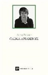 Anna Salvini - Calma apparente