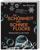 Ian Stewart, Andrea Kamphuis - Die Schönheit der Schneeflocke