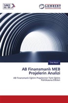Ünal Akyüz - AB Finansmanli MEB Projelerin Analizi
