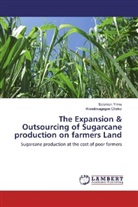 Wondimagegne Chekol, Solomo Yilma, Solomon Yilma - The Expansion & Outsourcing of Sugarcane production on farmers Land