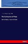 Plat, Plato, George Henry Wells - The Euthyphro of Plato