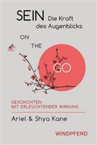 Arie Kane, Ariel Kane, Shya Kane, Shya &amp; Ariel Kane - Sein - Die Kraft des Augenblicks ON THE GO