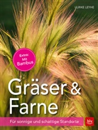 Ulrike Leyhe - Gräser & Farne