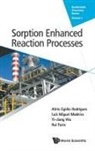 Luis Miguel Mad Alirio Egidio Rodrigues, Rui Faria, Luis Miguel Madeira, Alairio E. Rodrigues, Alirio Egidio Rodrigues, Yi-Jiang Wu - SORPTION-ENHANCED REACTION PROCESSES
