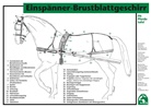 Uwe Spenlen, Deutsche Reiterliche Vereinigung e.V. (FN) - FN-Pferdetafeln: Einspänner-Brustblattgeschirr, Tafel
