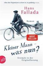 Hans Fallada - Kleiner Mann - was nun?