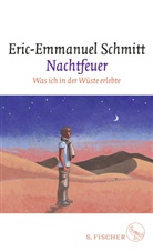 Eric-Emmanuel Schmitt - Nachtfeuer