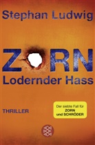 Stephan Ludwig - Zorn - Lodernder Hass