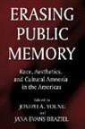 Jana Evans Braziel, Joseph A. Young - Erasing Public Memory: Race, Aesthetics, and Cultural Amnesia in the Americas