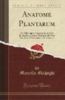 Marcello Malpighi - Anatome Plantarum