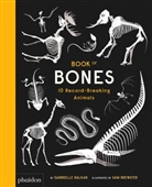 Gabriell Balkan, Gabrielle Balkan, Sa Brewster, Sam Brewster, Gabrielle Balkan, Sam Brewster - Book of bones : 10 record-breaking animals