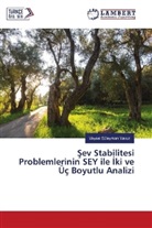 Veysel Süleyman Yavuz - Sev Stabilitesi Problemlerinin SEY ile ki ve Üç Boyutlu Analizi