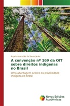 Angelo Aparecido de Souza Junior - A convenção nº 169 da OIT sobre direitos indígenas no Brasil