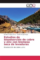 Onofre Monge Amaya, Lourde Ortega Campa, Lourdes Ortega Campa - Estudios de bioadsorción de cobre y zinc con biomasa seca de levaduras