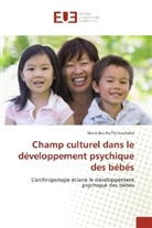 Marie-Eve Hoffet-Gachelin - Champ culturel dans le développement psychique des bébés