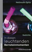 Hellmuth Opitz - In diesen leuchtenden Bernsteinmomenten