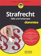 Shirin Dirks, Feli Herzog, Felix Herzog - Strafrecht Fälle und Schemata für Dummies