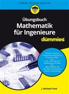 J Michael Fried, J. Michael Fried - Übungsbuch Mathematik für Ingenieure für Dummies