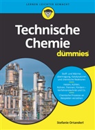 Stefanie Ortanderl - Technische Chemie für Dummies