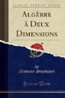Modeste Stuyvaert - Algèbre à Deux Dimensions (Classic Reprint)
